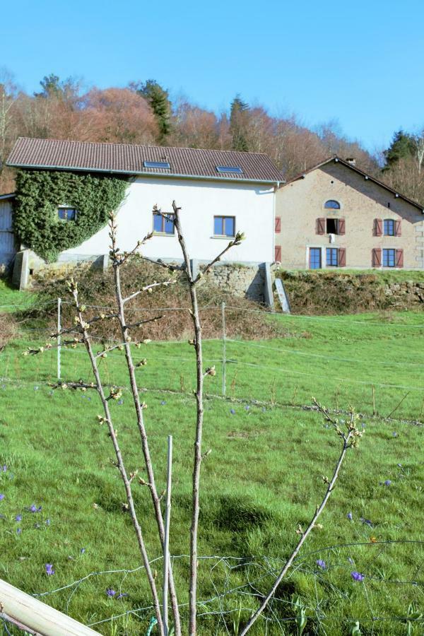 Au Temps De La Source Villa Raon-aux-Bois Eksteriør bilde
